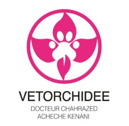 Dr Chahrazed Acheche Kenani