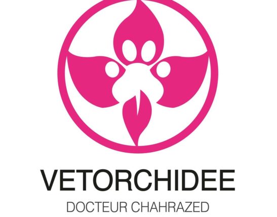 Dr Chahrazed Acheche Kenani